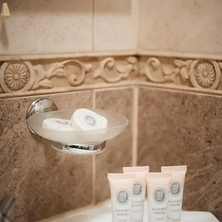 Alisa Hotel 4*